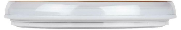 Потолочный светильник SPB-6 Б0054484 (пластик, цвет белый) - купить Потолочные светильники по цене 3917.0