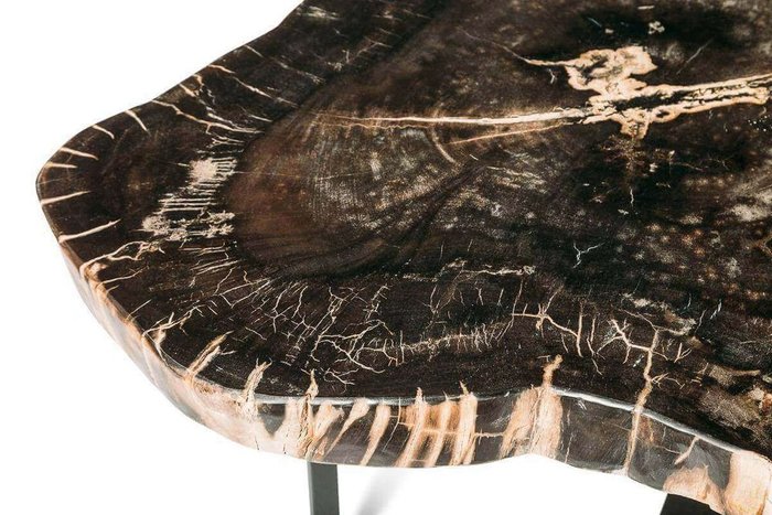 Журнальный стол Бинтау из окаменелого дерева 381090 - купить Журнальные столики по цене 158400.0