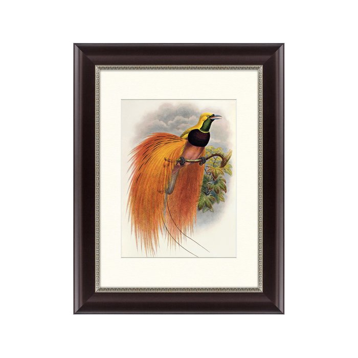 Картина  Красная райская птица 1885 г. - купить Картины по цене 2495.0