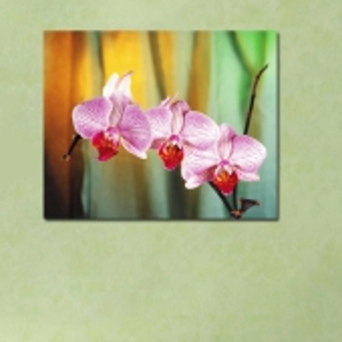Декоративная картина: Великолепие орхидеи - купить Картины по цене 2890.0