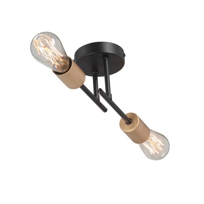 Потолочный светильник V3006-1/2PL (металл, цвет черный) - лучшие Потолочные светильники в INMYROOM