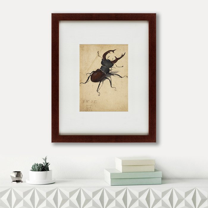 Картина Stag Beetle 1505 г.