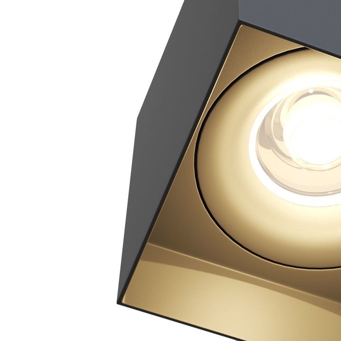 Потолочный светильник Alfa черного цвета - лучшие Потолочные светильники в INMYROOM
