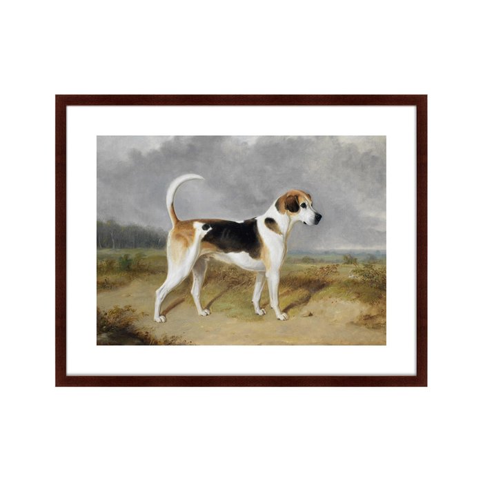 Репродукция картины Portrait of a Foxhound 1780 г. - купить Картины по цене 12999.0
