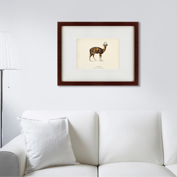 Картина Antilope guib 1871 г. - лучшие Картины в INMYROOM