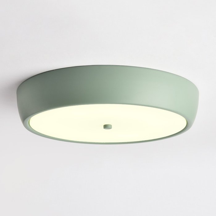 Потолочный светильник Dasor 55 зеленого цвета
