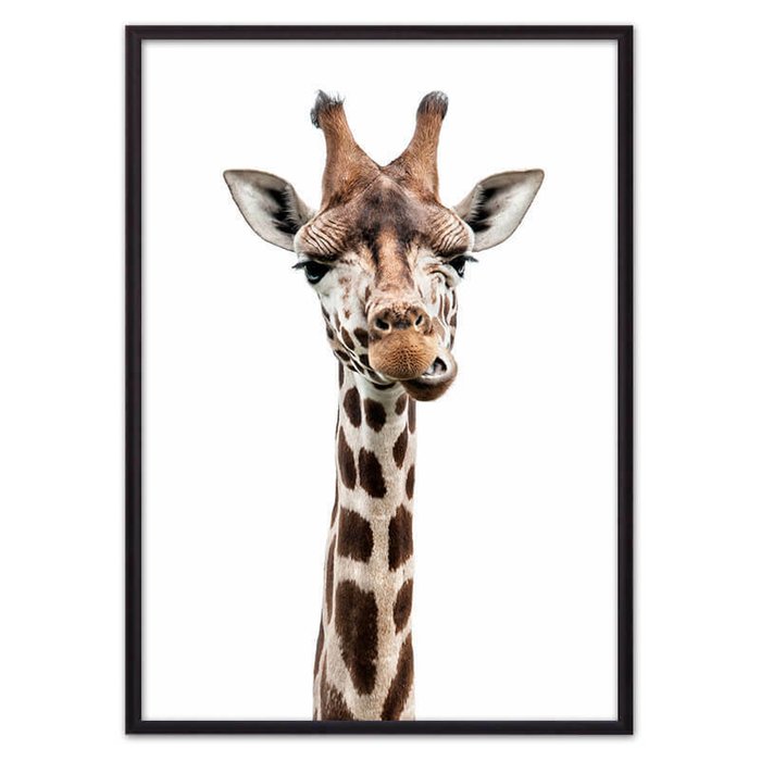 Постер в рамке Удивленный жираф 21х30 см