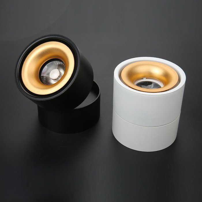 Потолочный светильник AGENDA black+gold 10W - купить Накладные споты по цене 8320.0