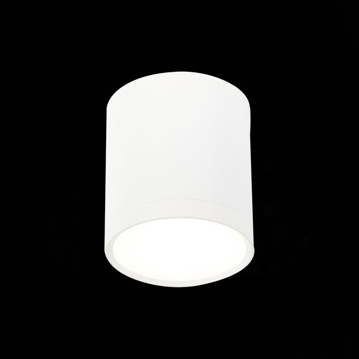 Светильник потолочный Rene белого цвета - лучшие Потолочные светильники в INMYROOM