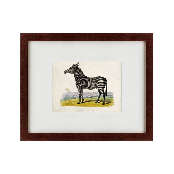 Картина A zebra 1830 г.  - купить Картины по цене 4990.0