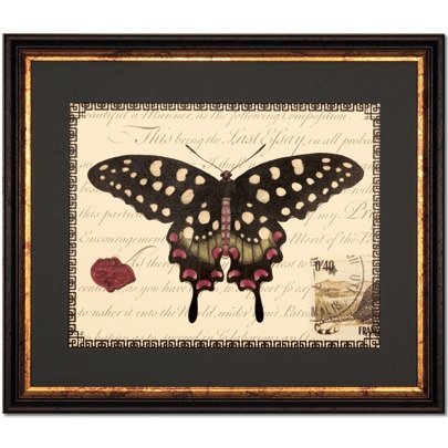 Бабочки - лучшие Картины в INMYROOM