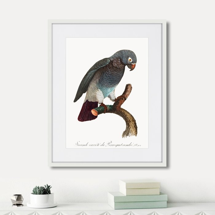 Копия старинной литографии Beautiful parrots №6 1872 г.