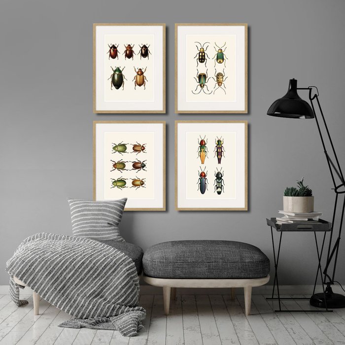 Набор из четырех картин Assorted Beetles №2 