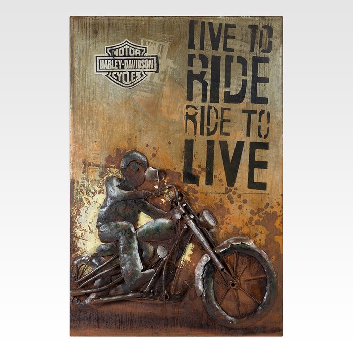 Инсталляция Live to ride, ride to live