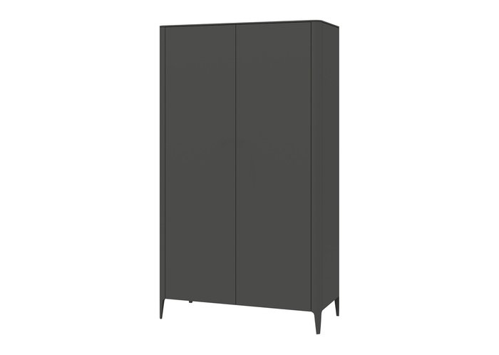 Шкаф Type темно-серого цвета - купить Шкафы распашные по цене 80900.0