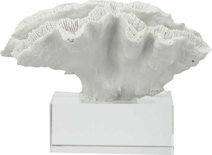 Декор Коралл белого цвета - купить Фигуры и статуэтки по цене 9720.0