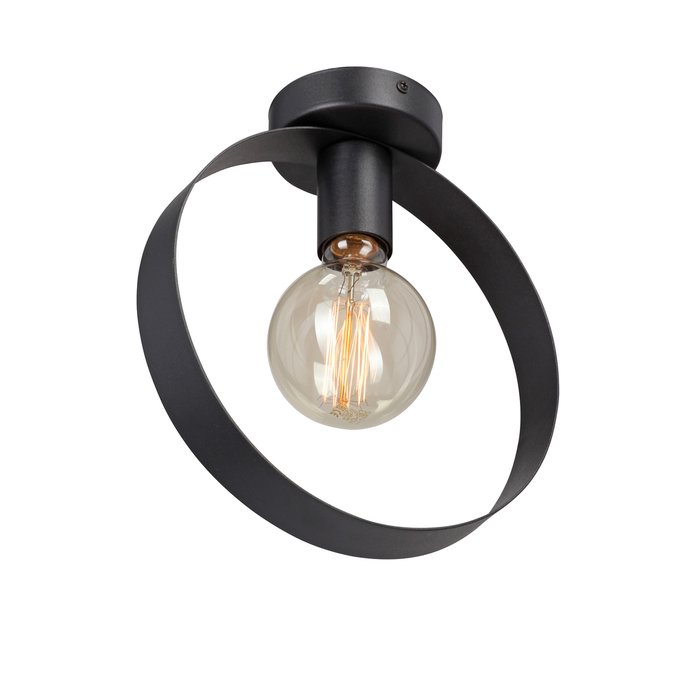 Потолочный светильник V3971-1/1PL (металл, цвет черный) - купить Потолочные светильники по цене 1843.0