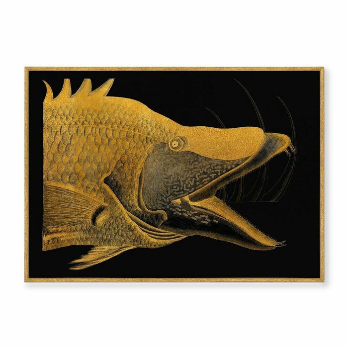 Репродукция картины на холсте Great Hog-Fish, 1754г. - купить Картины по цене 21999.0