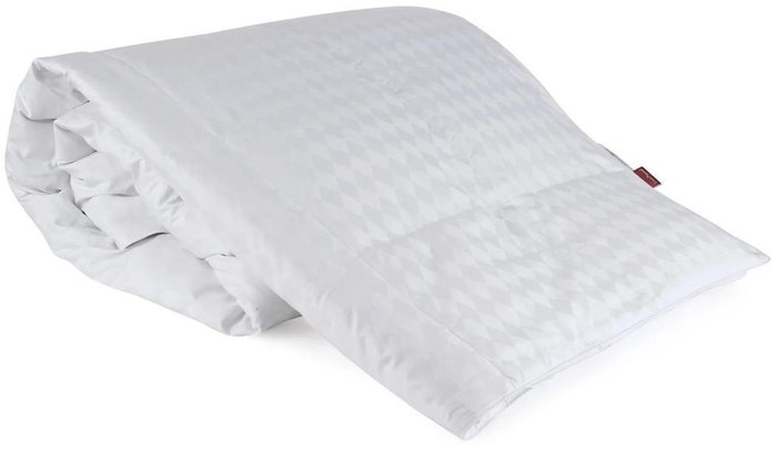 Пуховое одеяло Мишель 200х220 белого цвета