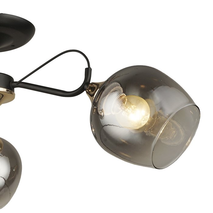 Потолочная люстра Isora с дымчатыми плафонами - лучшие Потолочные люстры в INMYROOM