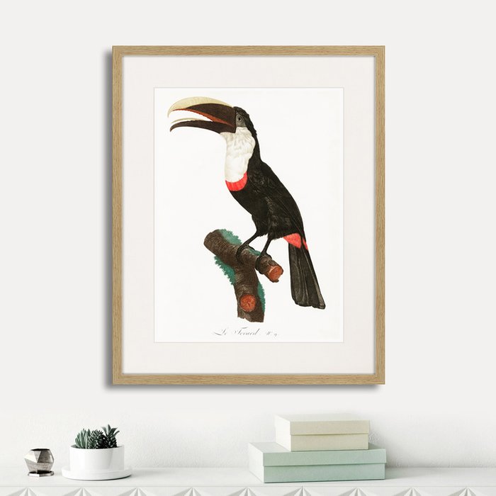 Набор из четырех картин Beautiful toucans  - лучшие Картины в INMYROOM