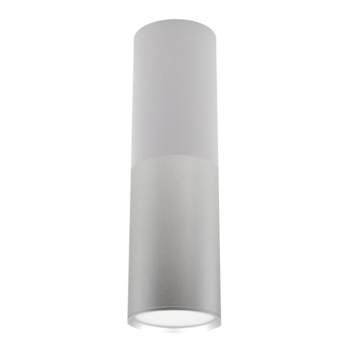 Потолочный светильник 20007SMU/02LED SWH/CH (пластик, цвет белый) Потолочный светильник 20007SMU/02LED SWH/CH (пластик, цвет белый)