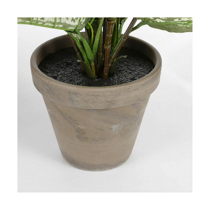 Декоративное растение Dieffenbachia Dieffenbachia Зеленый PVC (15,7 x 70 cm) - купить Декоративные цветы по цене 6624.0