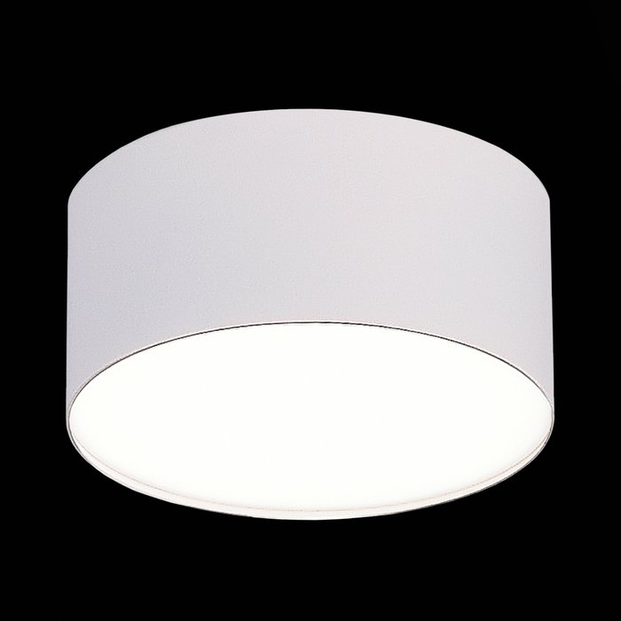 Светильник потолочный белого цвета - лучшие Потолочные светильники в INMYROOM