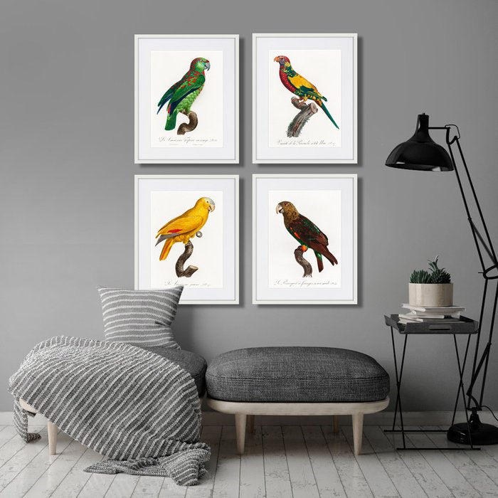Набор из четырех картин Beautiful parrots 