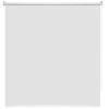 Рулонная штора Миниролл Эко белого цвета 60x160 - лучшие Шторы в INMYROOM