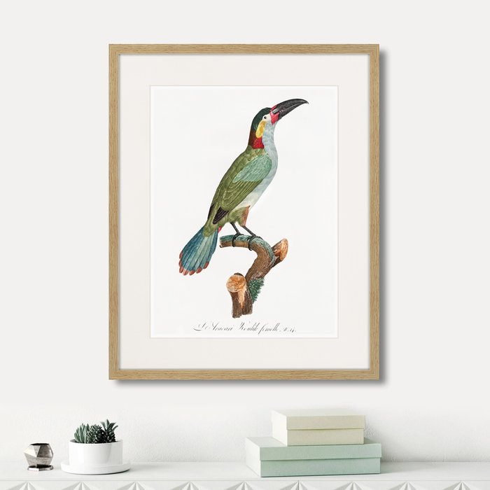 Набор из четырех картин Beautiful toucans  - купить Картины по цене 15980.0