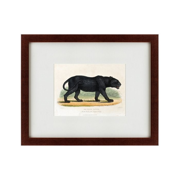 Картина Black panther 1830 г. - купить Картины по цене 4990.0