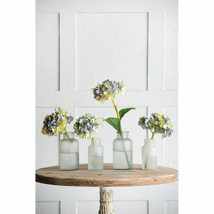 Цветок Гортензия бело-голубого цвета - купить Декоративные цветы по цене 800.0