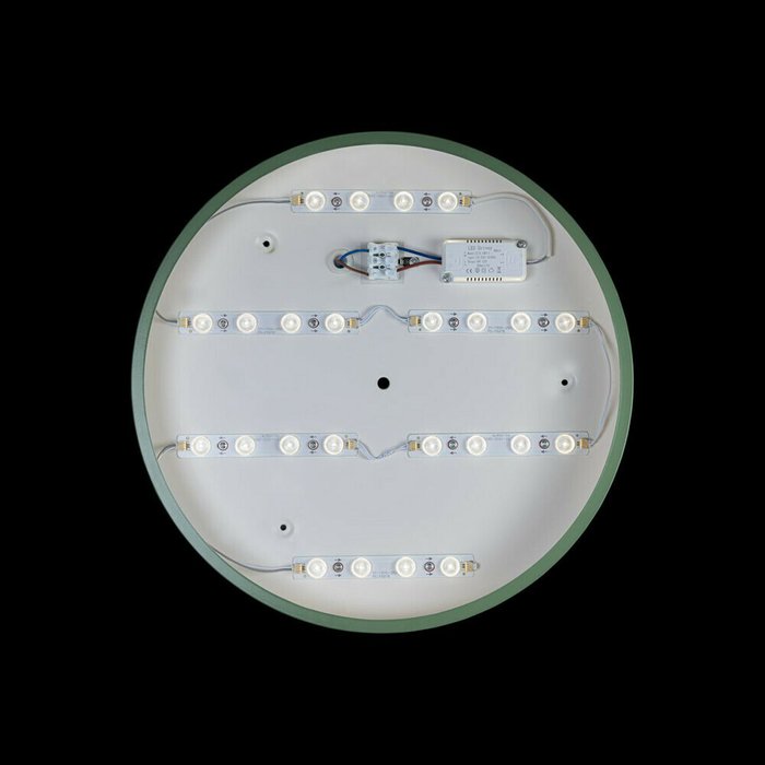 Потолочный светодиодный светильник Loft IT Axel 10002/24  green - лучшие Потолочные светильники в INMYROOM