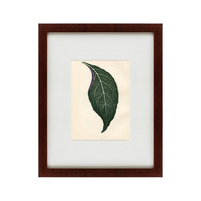 Картина The leaf 1871 г.  - купить Картины по цене 4990.0