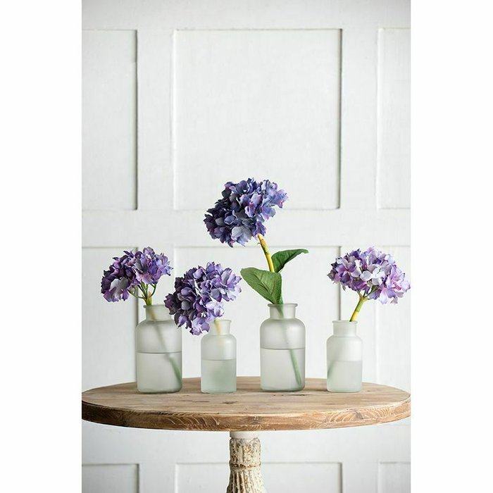 Цветок Гортензия фиолетового цвета - лучшие Декоративные цветы в INMYROOM
