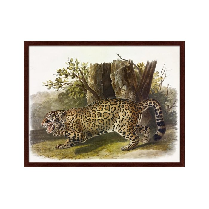 Репродукция картин Jaguar 1841 г . - купить Картины по цене 12999.0