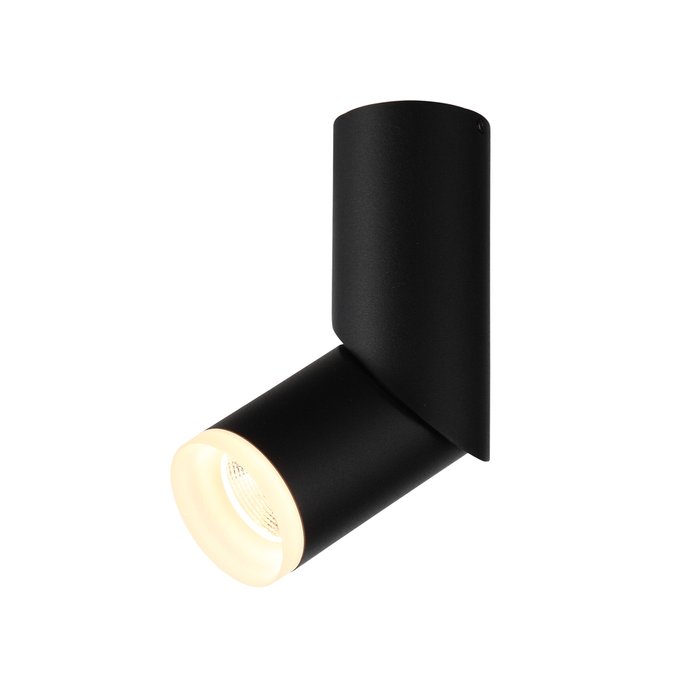  Светильник потолочный Tortelle черного цвета - лучшие Потолочные светильники в INMYROOM