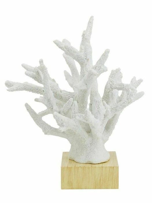 Декор настольный Коралл белого цвета - лучшие Фигуры и статуэтки в INMYROOM