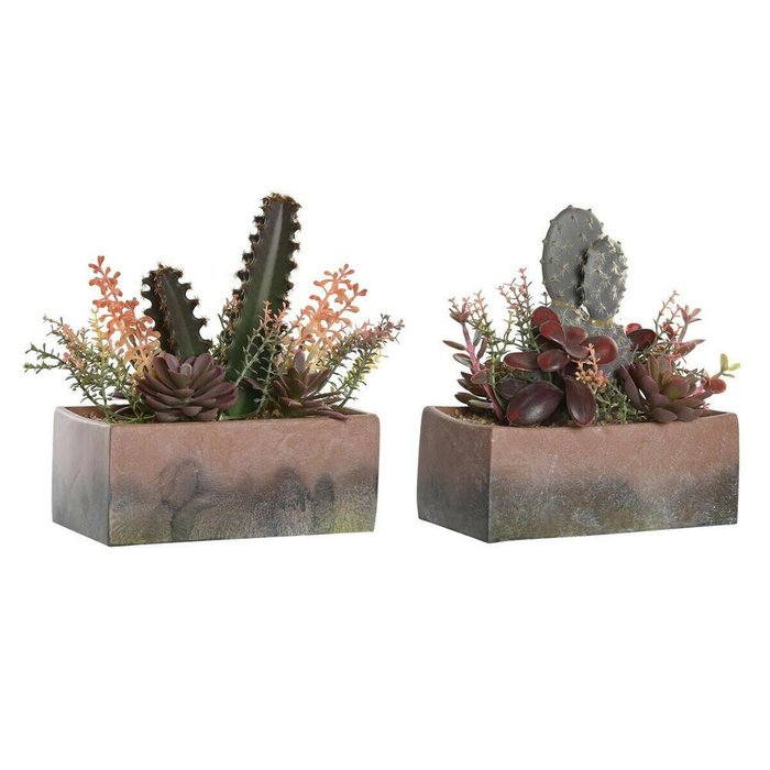 Декоративное растение 19 x 9 x 22 cm Розовый Оранжевый Кактус Резина Eva полипропилен (2 штук)