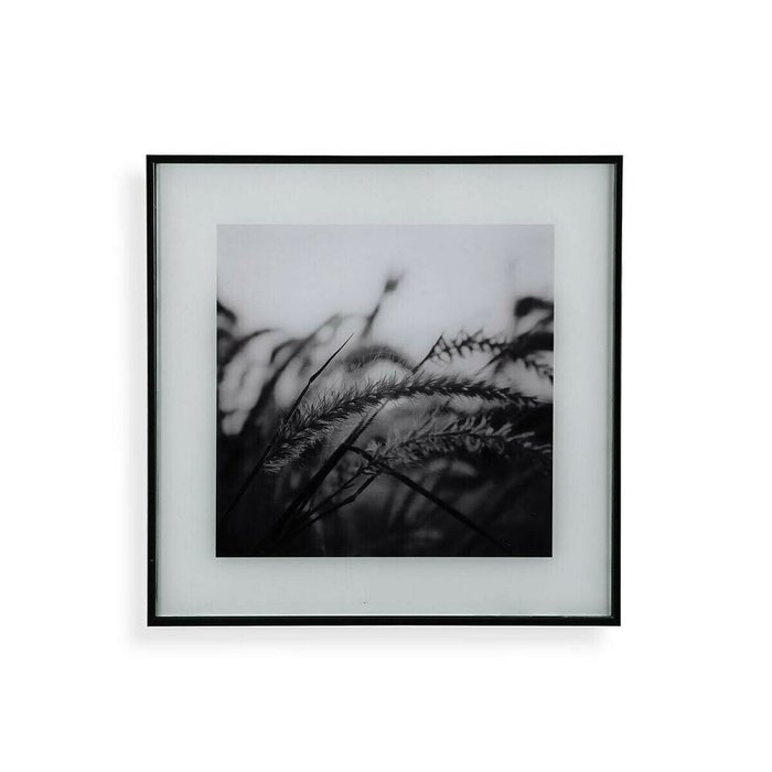 Картина Белый Чёрный Стеклянный 2 x 30 x 30 cm