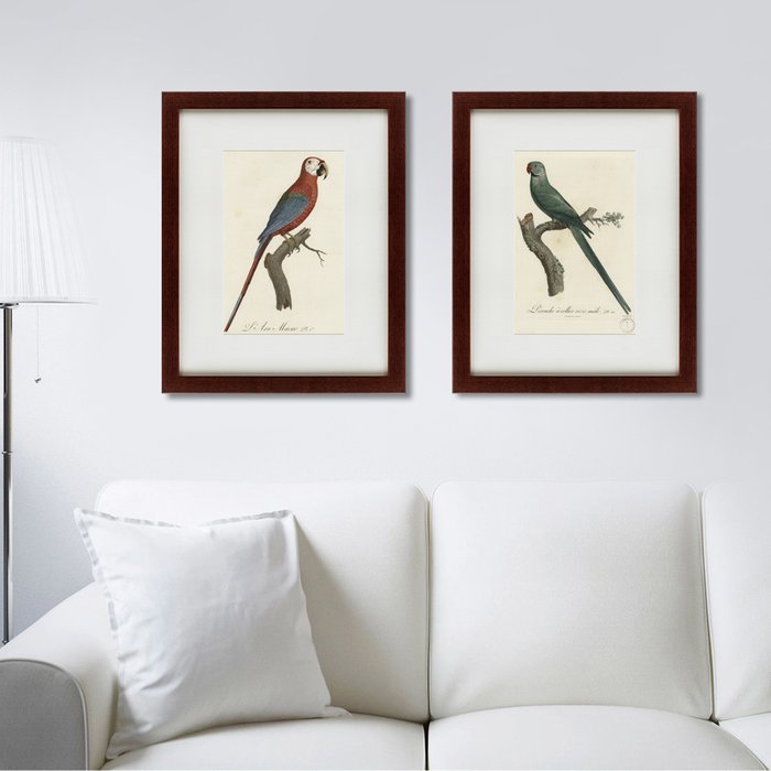 Картина Ara macao Scarlet Macaw 1801 г. - лучшие Картины в INMYROOM