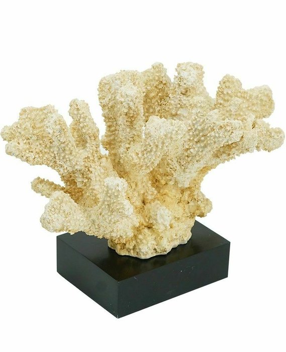 Декор настольный Коралл бежевого цвета - купить Фигуры и статуэтки по цене 7650.0