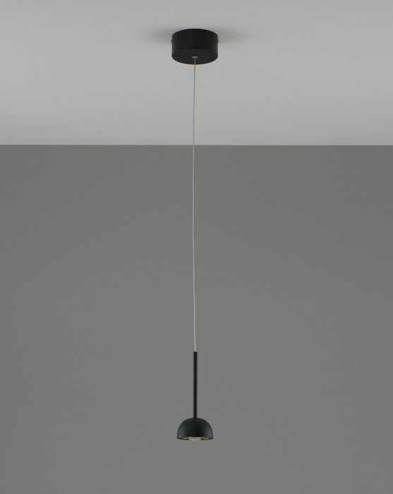 Подвесной светодиодный светильник Fiona черного цвета - лучшие Подвесные светильники в INMYROOM