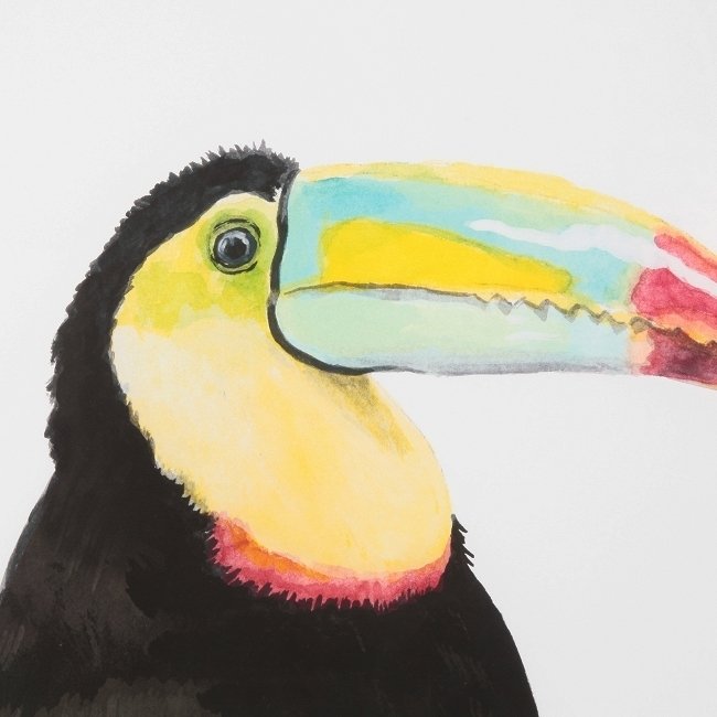 Постер Toucan с изображением африканской птицы  - купить Картины по цене 18334.0