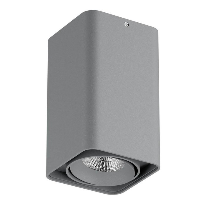 Потолочный светодиодный светильник Monocco серого цвета