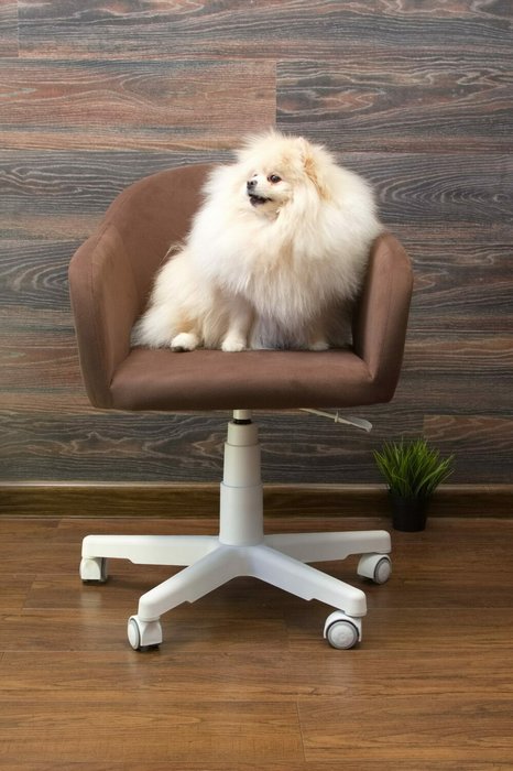 Кресло Бабби коричнево-белого цвета - лучшие Офисные кресла в INMYROOM