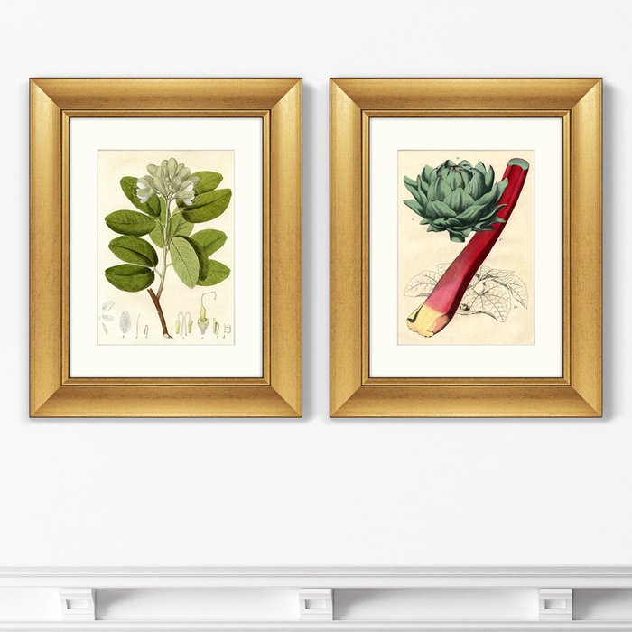 Набор из 2-х репродукций картин в раме Британская ботаническая книга, 1860г. Набор из 2-х репродукций картин в раме Британская ботаническая книга, 1860г.