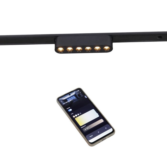 Трековый магнитный светильник (CCT+SMART) Reluce 13002-9.3-001UR magnetic LED6W BK CCT+SMART - купить Трековые светильники по цене 1730