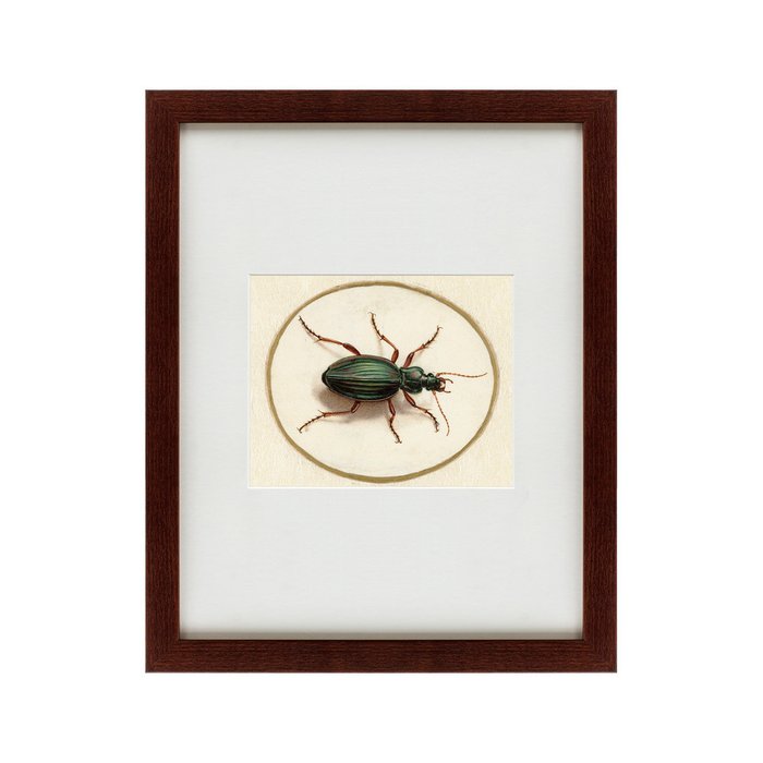  Картина Beetle 1700 г.  - купить Картины по цене 4990.0